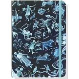 Constellations Journal