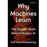 Why Machines Learn: The Elegant Math Behind Modern AI