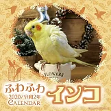 可愛鸚哥2020年掛曆
