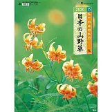 日本山野草2020年掛曆