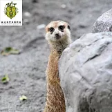 花蓮【新光兆豐農場】單人全票