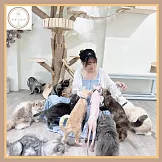 台南【財閥家的公子貓】擼貓咖啡廳A套餐體驗券】