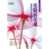 花精與花魂：崔玖談花精療癒力