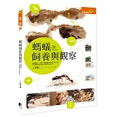 螞蟻飼養與觀察