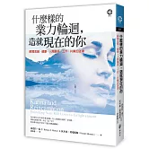 什麼樣的業力輪迴，造就現在的你：解開金錢、健康、人際關係、工作、共業的迷津