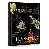 空氣鳳梨圖鑑：魅力品種x玩賞栽培x佈置應用