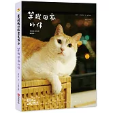 黃阿瑪的後宮生活：等我回家的你