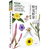 都會野花野草圖鑑（增訂版）