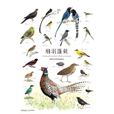 臺灣野生動物手繪海報(1套8張)