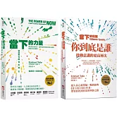 【當下的力量與覺醒新版套書】（二冊）：《當下的力量(三版)》＋《當下的覺醒（三版）》