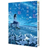 在那流星墜落的山丘，終與妳相遇。