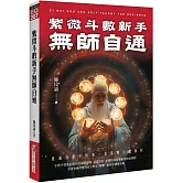 紫微斗數新手無師自通：最適合新手的第一本紫微斗數教材