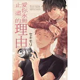 愛你永無止盡的理由 全