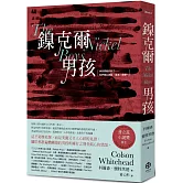 鎳克爾男孩（普立茲小說獎作品）