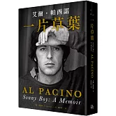 一片草葉：Sonny Boy艾爾．帕西諾