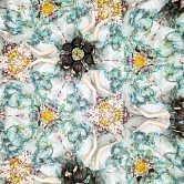 Aimer / 太陽が昇らない世界【通常盤】