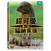 超可愛貓鼬家族1 DVD