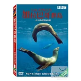 加拉巴哥群島 DVD