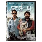 臨門湊一腳 DVD