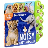 Discovery: Noisy Baby Animals!