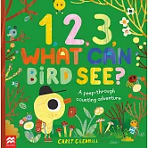 1, 2, 3, What Can Bird See?: A peep-through counting adventure