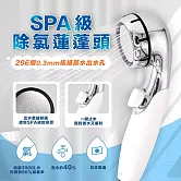 【DUSKIN】日本SPA級除氯蓮蓬頭-本體+濾芯(一鍵止水)(效期2027/5/30)