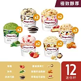 【Haagen-Dazs 哈根達斯】 極致醇厚迷你杯100ml 12入