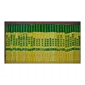 運動必勝新教材(1-30)