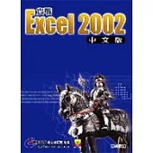 實戰Excel 2002中文版
