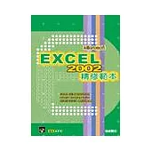 Excel 2002 精修範本