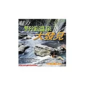 魅力野溪溫泉大發見