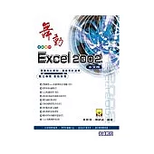 舞動Excel 2002中文版