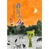 消失在月夜