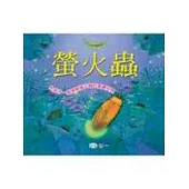 螢火蟲