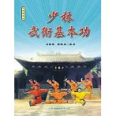 少林武術基本功
