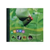 森林搖籃曲(DVD)