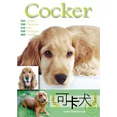 可卡犬 Cocker