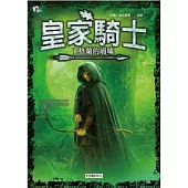 皇家騎士 1 格蘭的廢墟