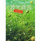 波光綠茵：東沙海草床