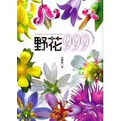 野花999