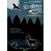 來自動物界的訊息：動物圖騰的靈性力量