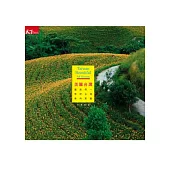 美麗台灣：讓我們一齊把台灣推向美麗