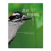 我的野鳥朋友