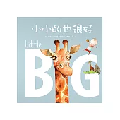 小小的也很好