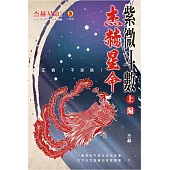 紫微斗數(上編)