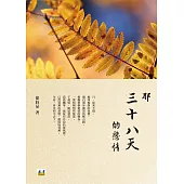 那三十八天的戀情