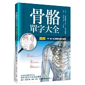 圖解：骨骼單字大全