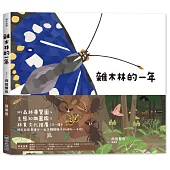 里山的一年繪本2：雜木林的一年(SDGS閱讀書房)