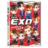 愛麗必看!EXO全紀錄：擁有反轉魅力的完顏天團