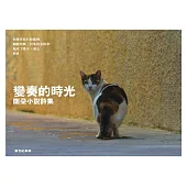 變奏的時光：蘭朵小說詩集